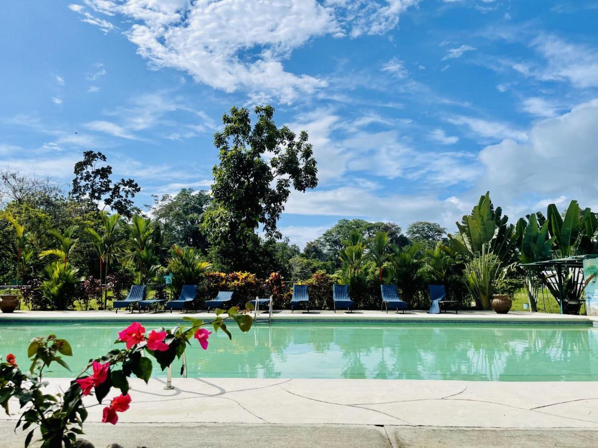 Puerto Viejo Club, Villas & Pool Puerto Viejo de Talamanca Ngoại thất bức ảnh