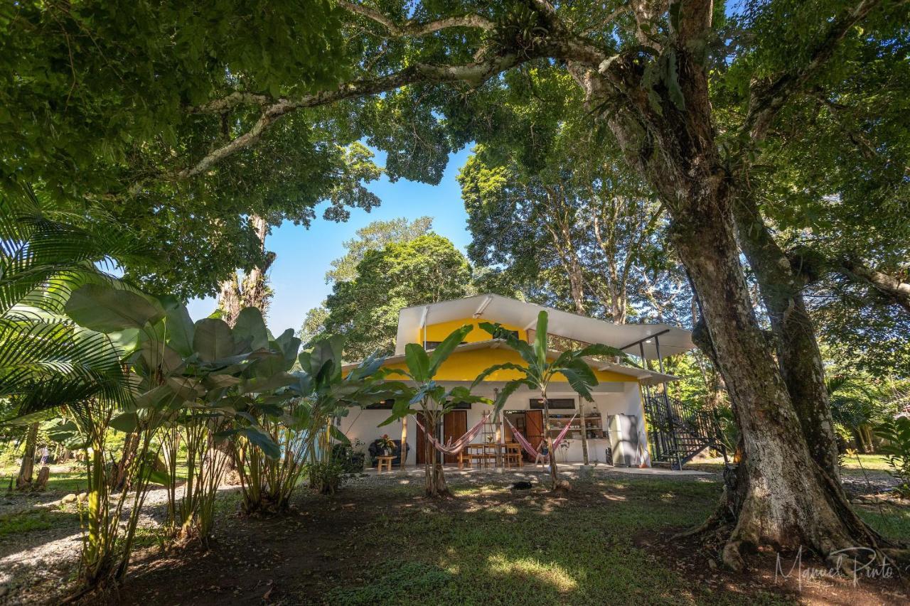 Puerto Viejo Club, Villas & Pool Puerto Viejo de Talamanca Ngoại thất bức ảnh