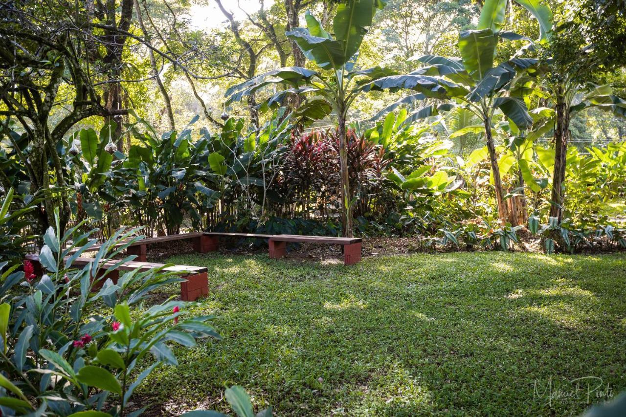 Puerto Viejo Club, Villas & Pool Puerto Viejo de Talamanca Ngoại thất bức ảnh