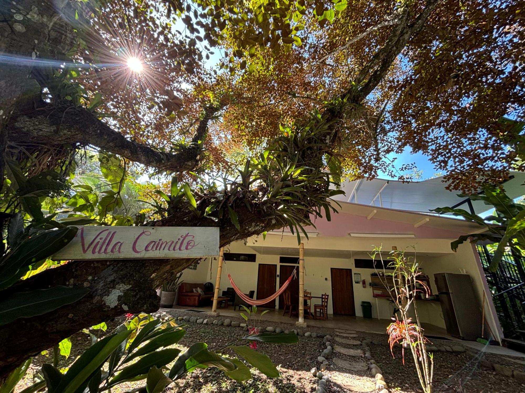 Puerto Viejo Club, Villas & Pool Puerto Viejo de Talamanca Ngoại thất bức ảnh